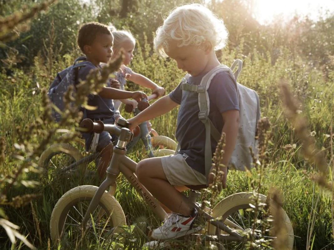 Little Dutch  Bici per l'equilibrio senza pedali Verde - EmotionsToy