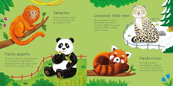 Usborne  Allo zoo. Ediz. illustrata. Con 36 Carte. - EmotionsToy