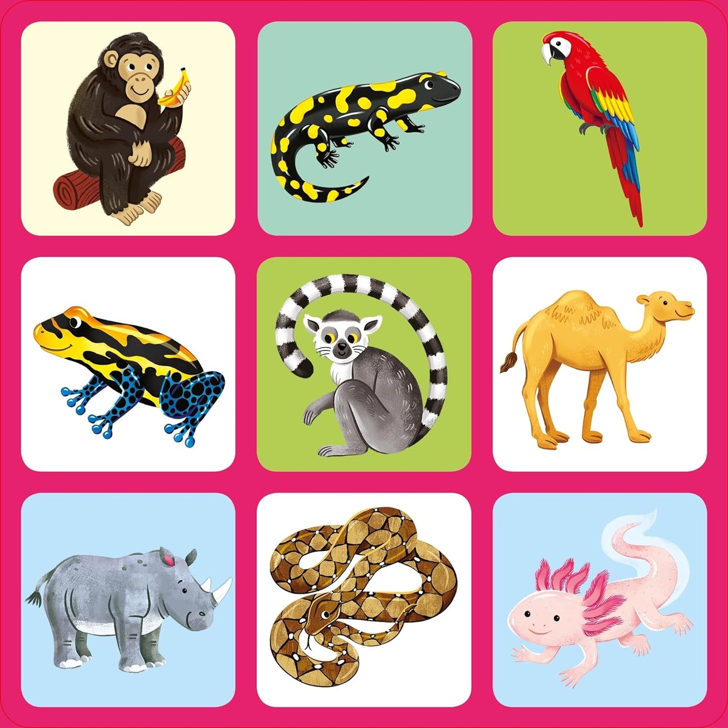 Usborne  Allo zoo. Ediz. illustrata. Con 36 Carte. - EmotionsToy