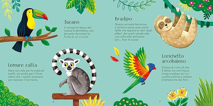 Usborne  Allo zoo. Ediz. illustrata. Con 36 Carte. - EmotionsToy