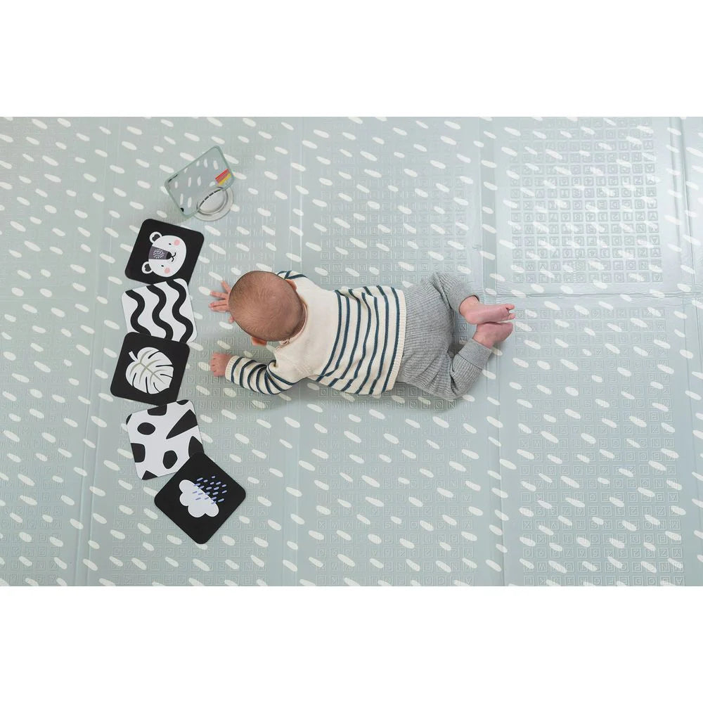 Taf Toys Newborn Kit