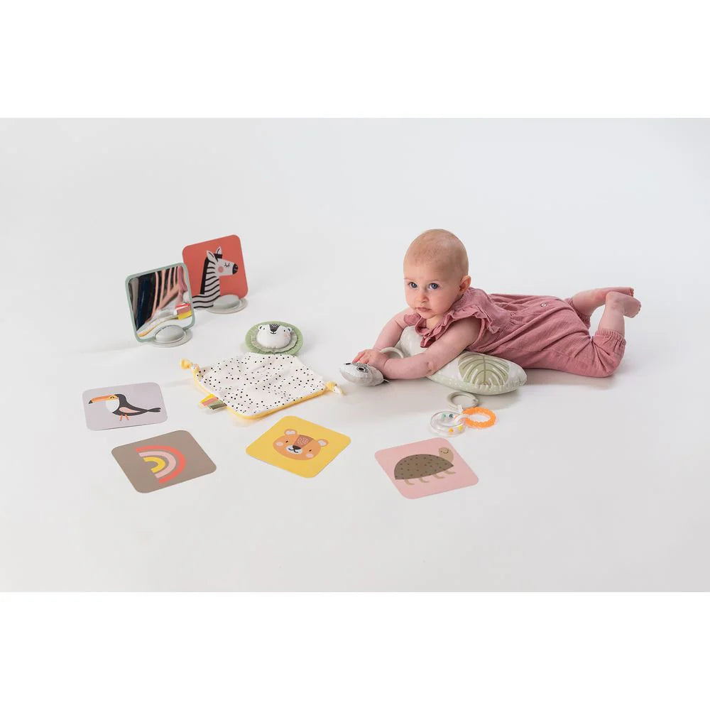 Taf Toys Newborn Kit