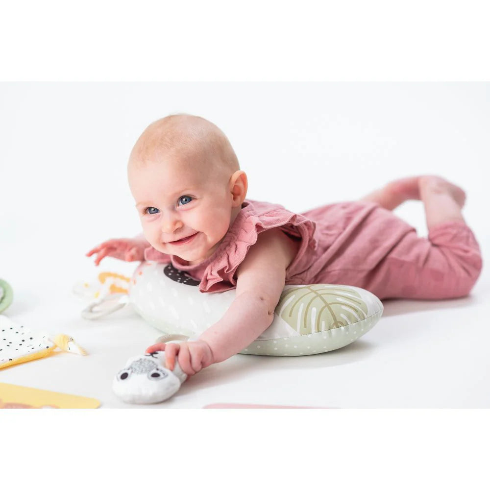 Taf Toys Newborn Kit