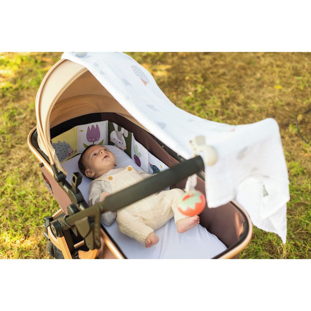 Taf Toys Newborn Outdoor Kit