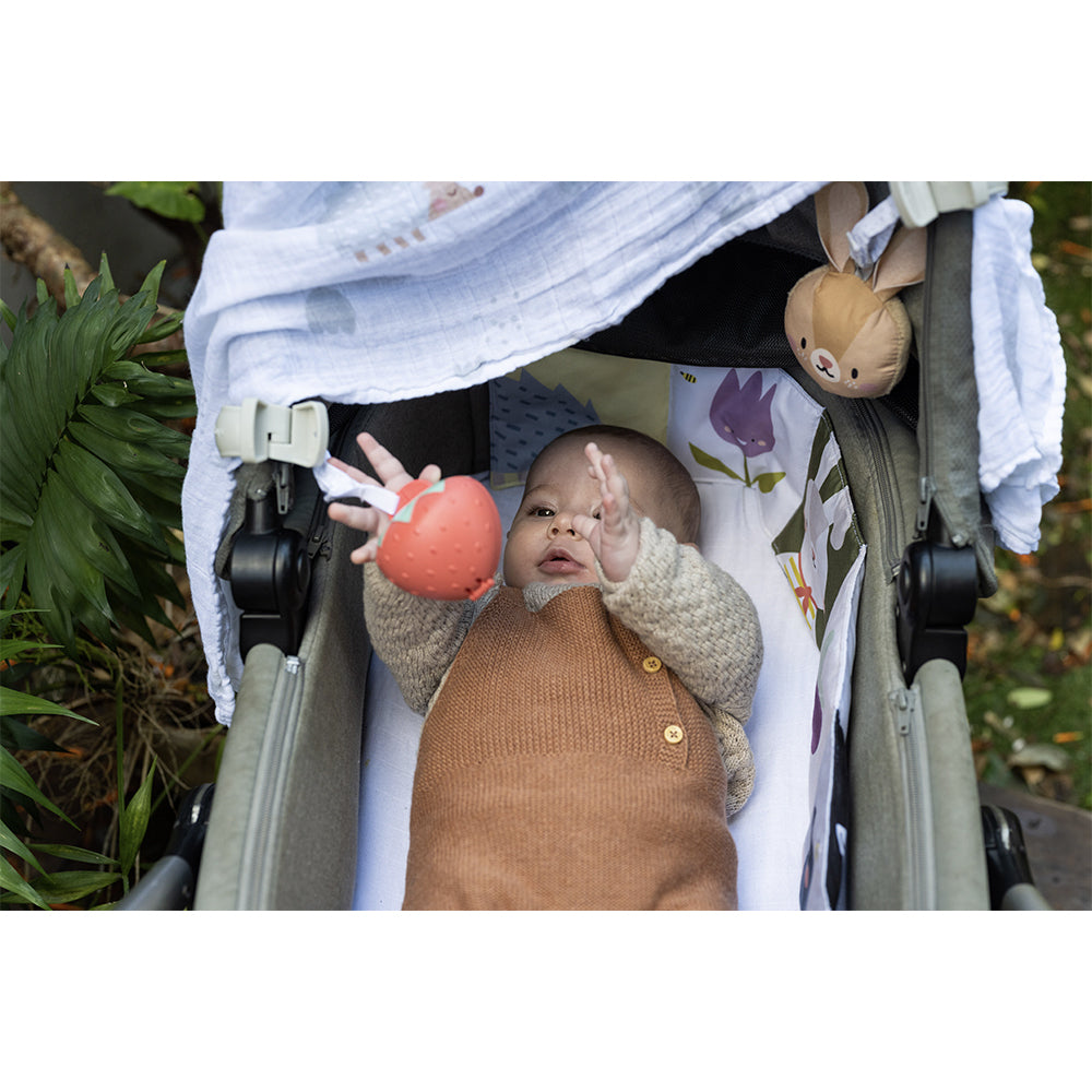 Taf Toys Newborn Outdoor Kit