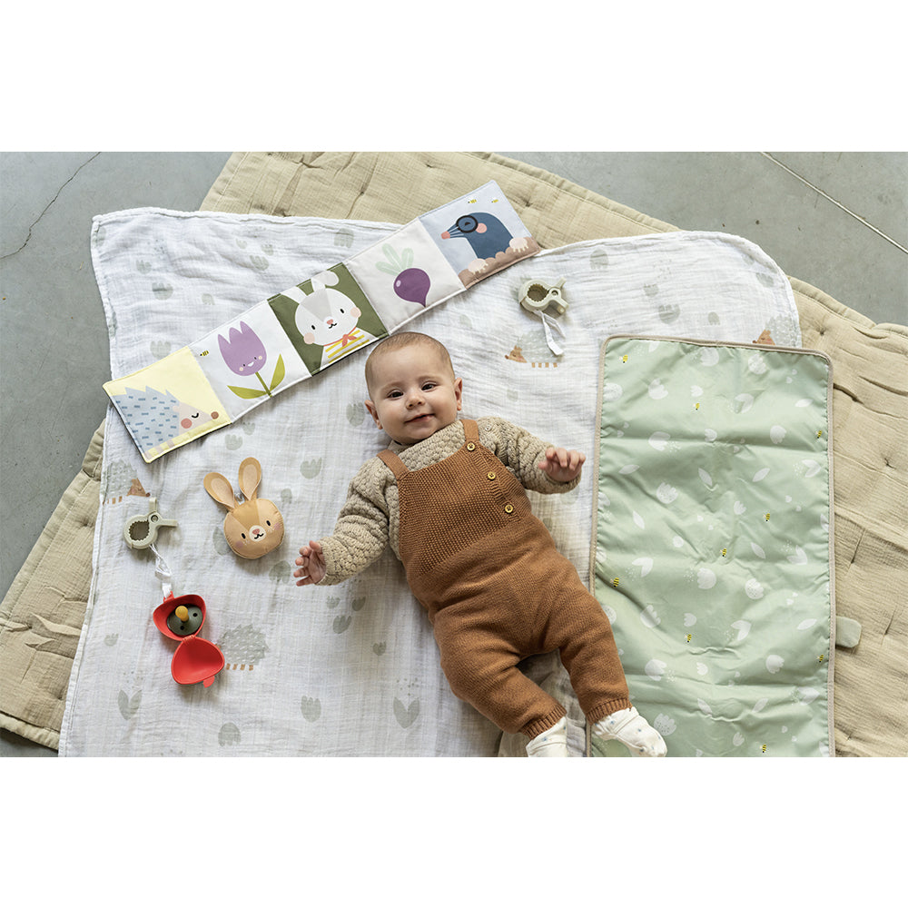 Taf Toys Newborn Outdoor Kit