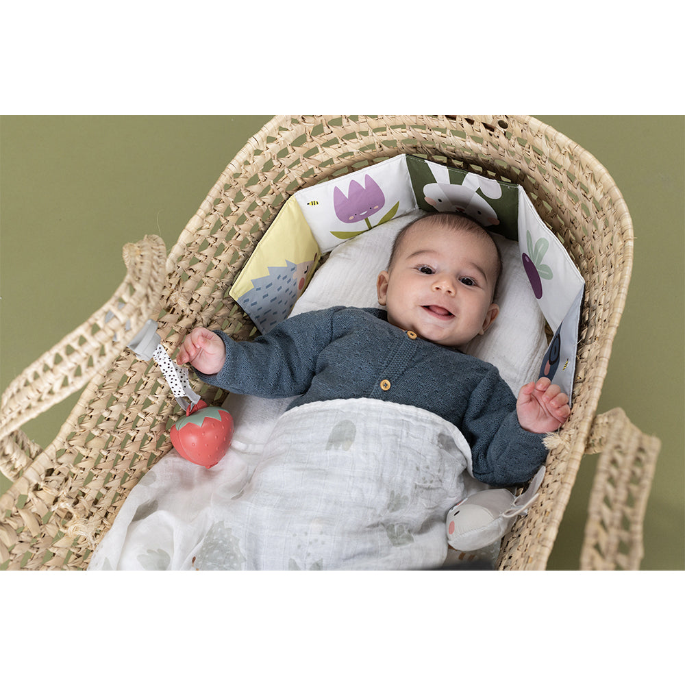 Taf Toys Newborn Outdoor Kit