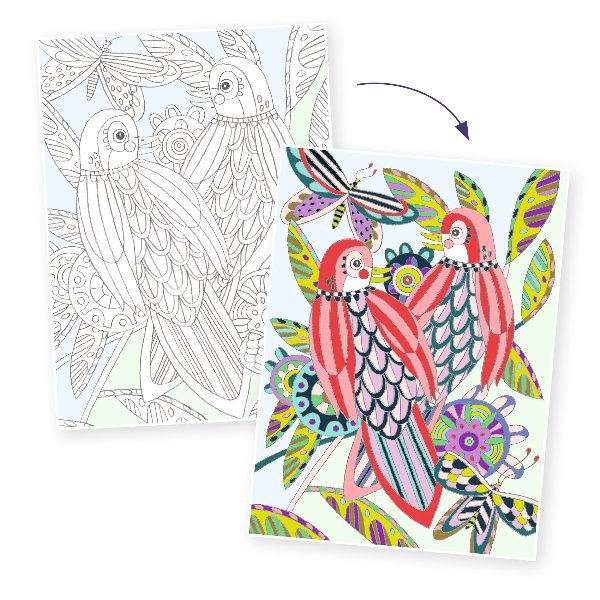 Djeco Colouring Gallery Uccelli - Emotions Toy