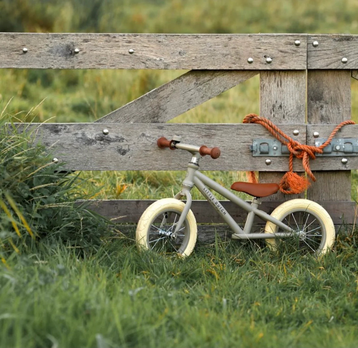 Little Dutch  Bici per l'equilibrio senza pedali Verde - EmotionsToy