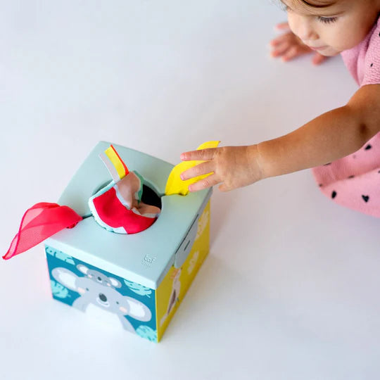 Taf Toys Wonder Tissue Box